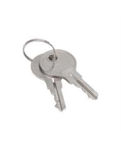 SRWS90479 image(0) - Sellstrom Sellstrom - Keys for Monitor 2000 Germicidal Cabinet (set of 2) (S90494)