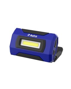 Astro Pneumatic Flood Light