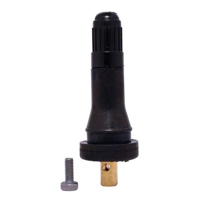DILVS-950-250 image(0) - Dill Air Controls 250 Pack of VS-950 TPMS SNAP-IN VALVE